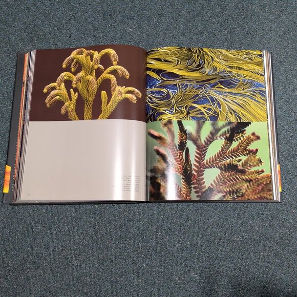 Life: A Journey Through Time - Picture 3 of 3